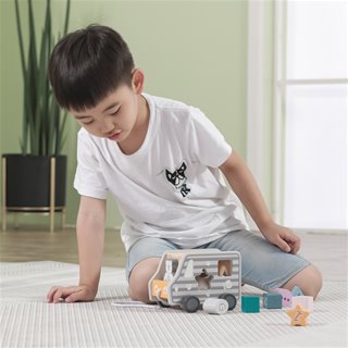 Pull-along shape sorting truck